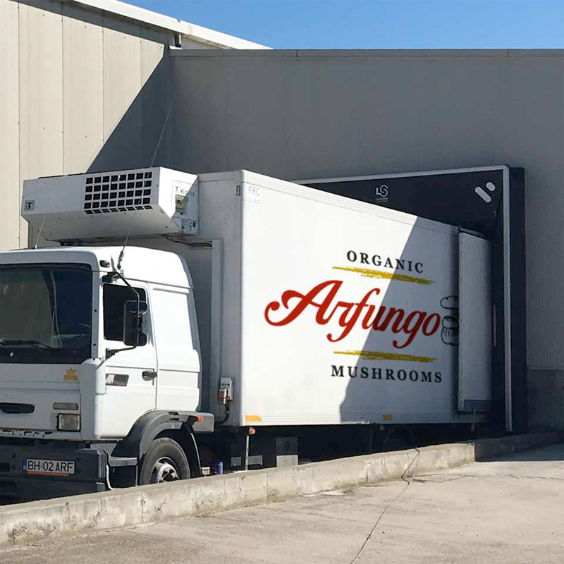processi_logistica