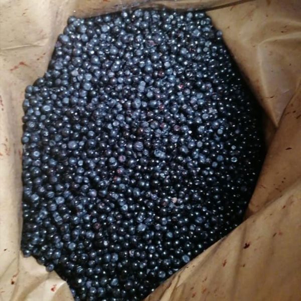 Frutti di bosco per l'ingrosso