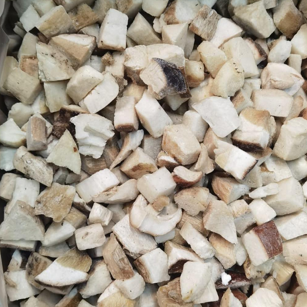 funghiporcini-congelati-cubetti