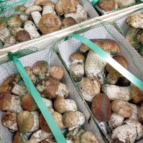 Funghi preconfezionati